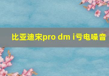 比亚迪宋pro dm i亏电噪音